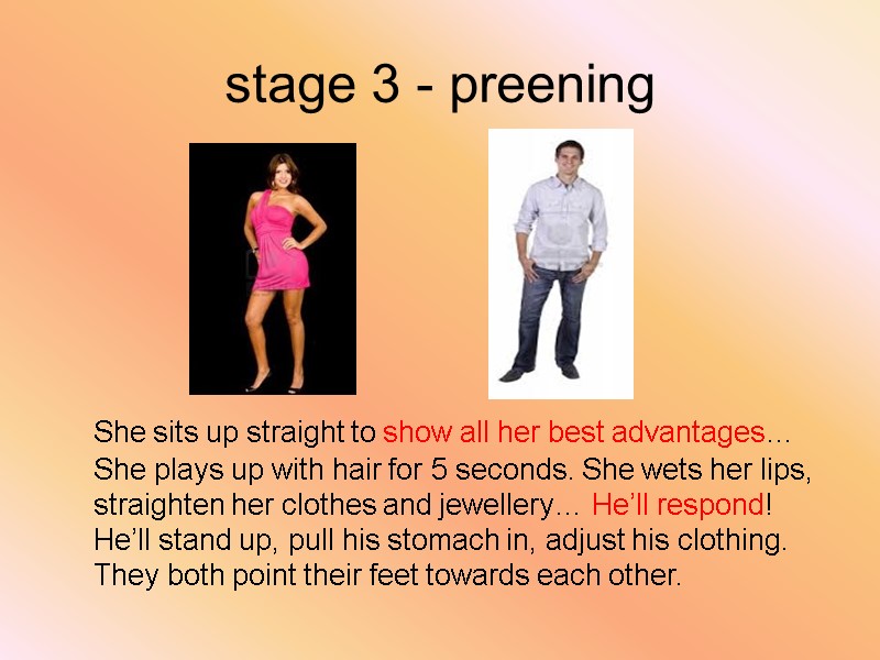 stage 3 - preening    She sits up straight to show all